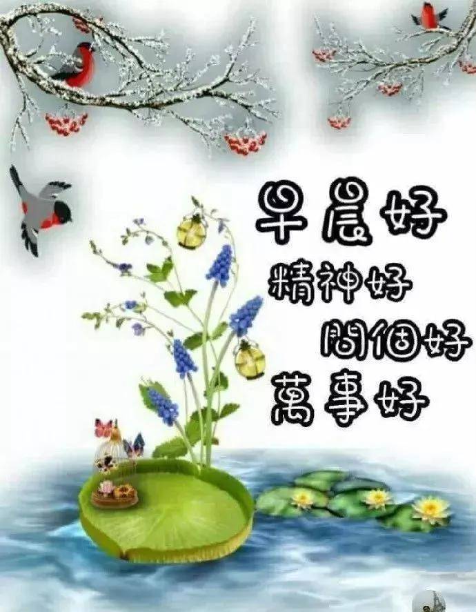 最新早晨好图片大全，唤醒美好心情的晨间视觉盛宴