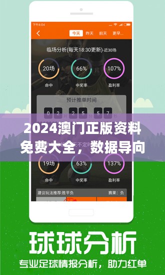 2024新澳门正版免费资本车,精选资料解析大全高效版250.293