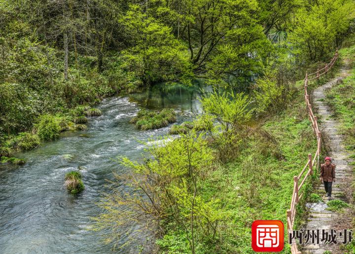 最新酉阳木叶乡图片，自然美景与人文风情的完美融合