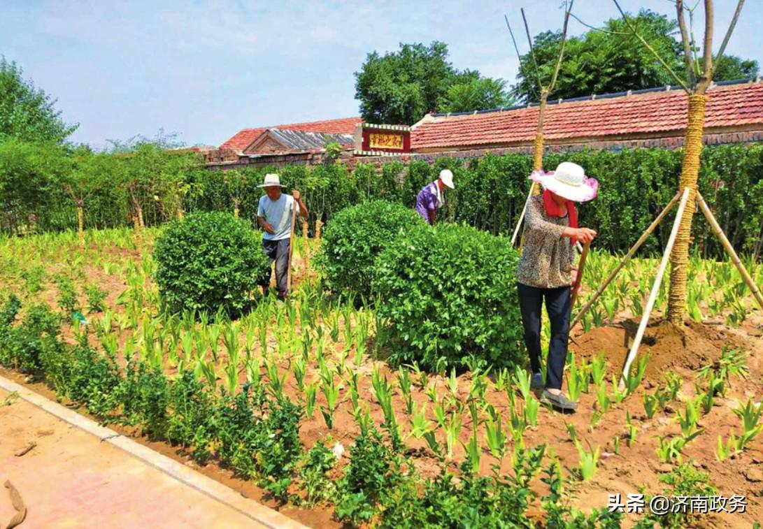 商河最新违章建筑，监管挑战与解决方案探讨