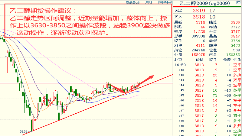 广州鸡蛋价格最新行情分析